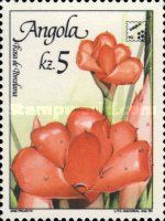 Flowers of Angola - Rosa de Porcelana