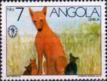 Ombua (Canis lupus familiaris)