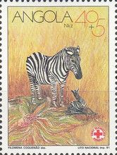 Zebra (Equus sp.)