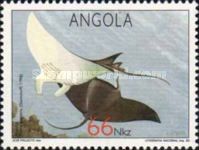 Giant Oceanic Manta Ray (Manta birostris)