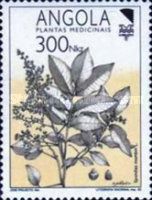 Medicinal Plants - 92 Lubrapex