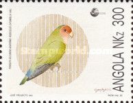 Rosy-faced Lovebird (Agapornis roseicollis catumbella)