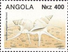 Sea Snail (Aporrhais pesgallinae)