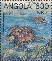 Loggerhead (Caretta caretta)
