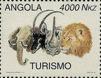 Heads of Mammals