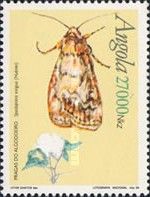 Beet Armyworm (Spodoptera exigua)