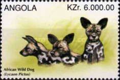 African Wild Dog (Lycaon pictus)