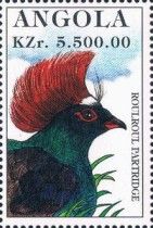 Roulroul Partridge (Rollulus rouloul)