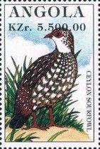 Ceylon Spurfowl (Galloperdix bicalcarata)