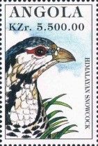 Himalayan Snowcock (Tetraogallus himalayensis)