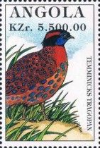 Temminick's Tragopan (Tragopan temminckii)