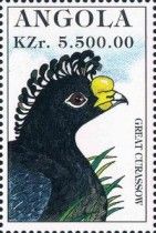 Great Curassow (Crax rubra)