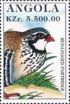 Red-legged Partridge (Alectoris rufa)