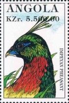 Imperial Pheasant (Lophophorus impejanus)
