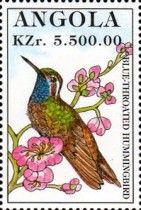 Blue-Throated Hummingbird (Lampornis clemenciae)