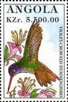 Violet-crowned Hummingbird (Goldmania violiceps)