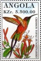 Crimson Topaz Hummingbird (Topaza pella)