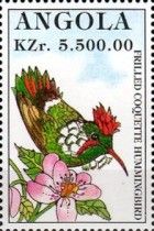 Frilled Coquette Hummingbird (Lophornis magnificus)
