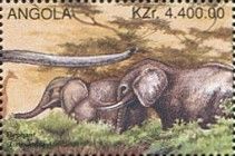 African Elephant (Loxodonta africana)