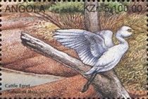 Cattle Egret (Bubulcus ibis)