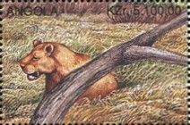 Lion (Panthera leo)