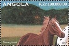 Thoroughbred