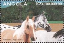 Palomino, Appaloosa