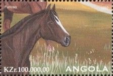 Furioso