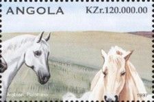 Arabian, Palomino