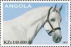 Shagya Arab