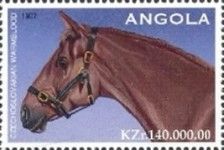 Czechoslovakian Warmblood