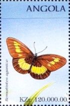 Wanderer (Bematistes aganice)