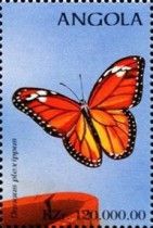 Monarch Butterfly (Danaus plexippus)