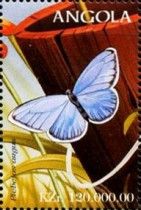Silver-studded Blue (Plebejus argus)