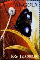 Blue Moon Butterfly (Hypolimnas bolina)