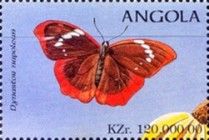 Brazilian Dynastor (Dynastor napoleon)