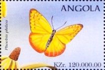 Orange-barred Sulphur (Phoebis philea)