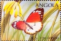 African Monarch (Danaus chrysippus)