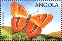 Brown Hairtreak (Thecla betalae)