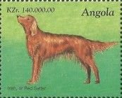 Irish or Red Setter