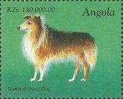 Shetland Sheep Dog