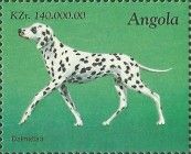 Dalmatian