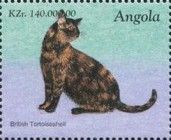British Tortoiseshell