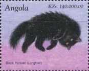 Black Persian (Longhiar)