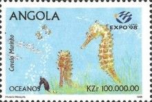 Cavala Marinho (Sea Horse)