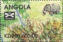 African Elephant (Loxodonta africana)