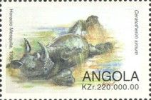 White Rhinoceros (Ceratotherium simum)