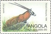 Gemsbok (Oryx gazella)