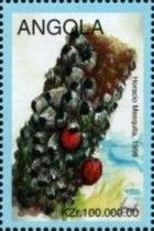 Balanus amphitrite