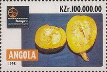 Pumpkin